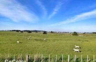 Remote ranches