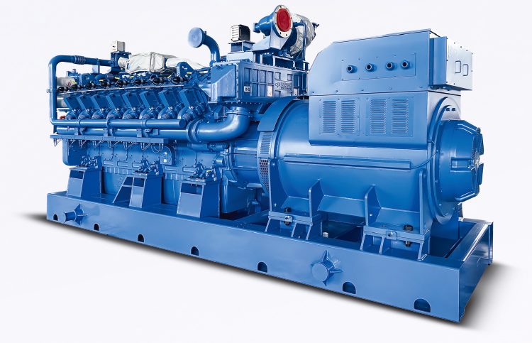 Natural gas generator set